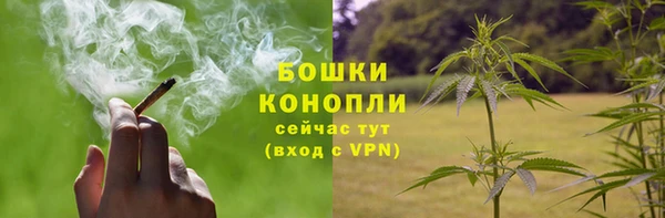 соль ск Ладушкин