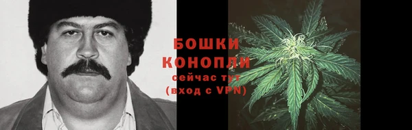 индика Лиски