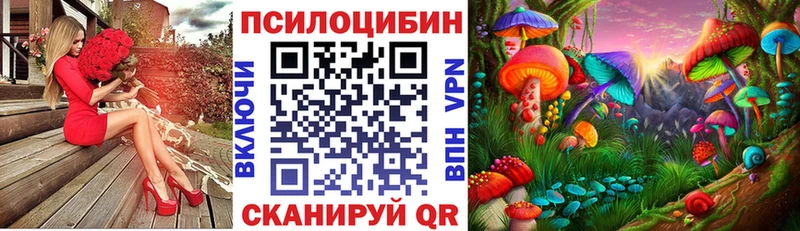 где купить наркотик  Саранск  Галлюциногенные грибы Psilocybe 