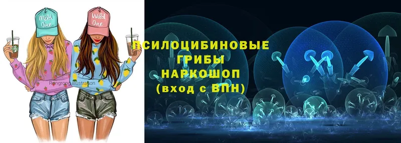 Галлюциногенные грибы MAGIC MUSHROOMS  где можно купить   mega ссылки  Саранск 