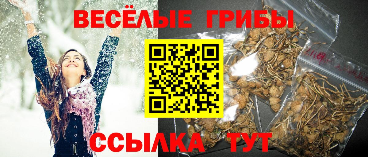 Псилоцибиновые грибы GOLDEN TEACHER  Галлюциногенные грибы мухоморы  Вход с VPN  Саранск 