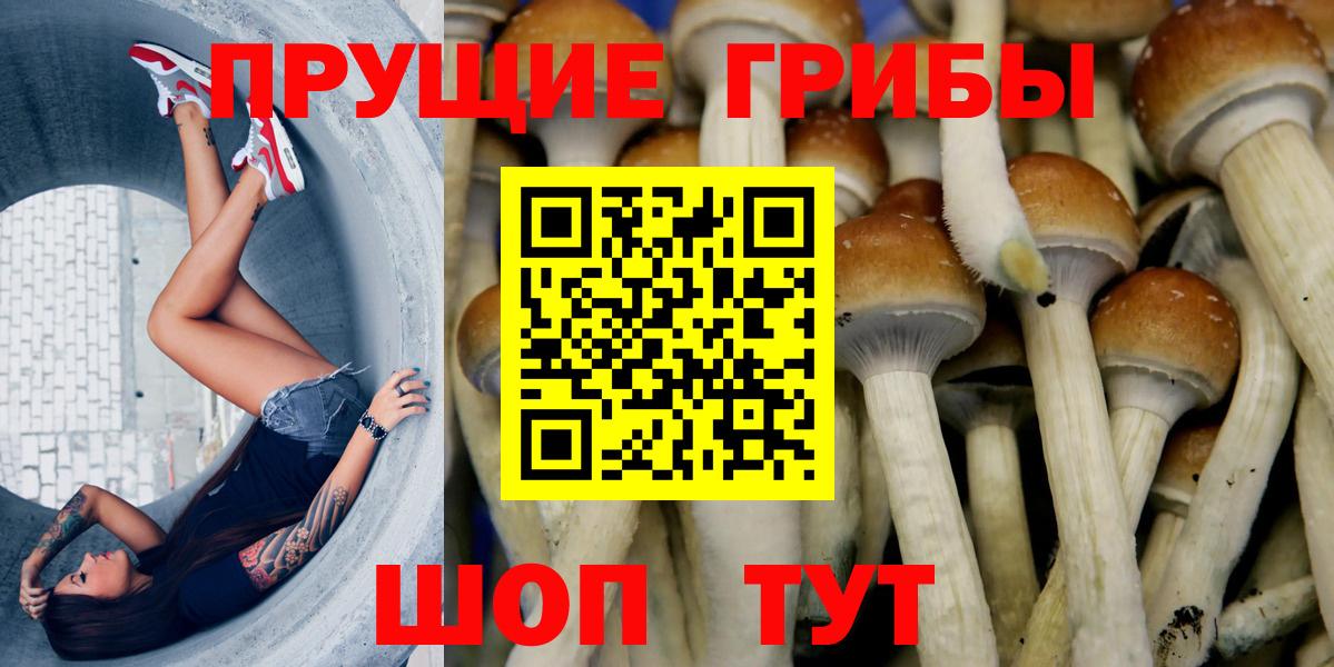 Псилоцибиновые грибы MAGIC MUSHROOMS Саранск