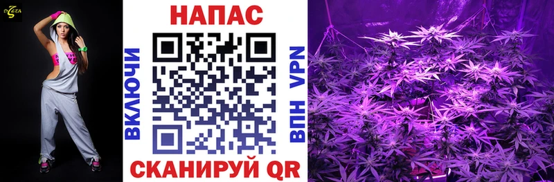 где найти Саранск omg ссылки Каннабис SATIVA & INDICA