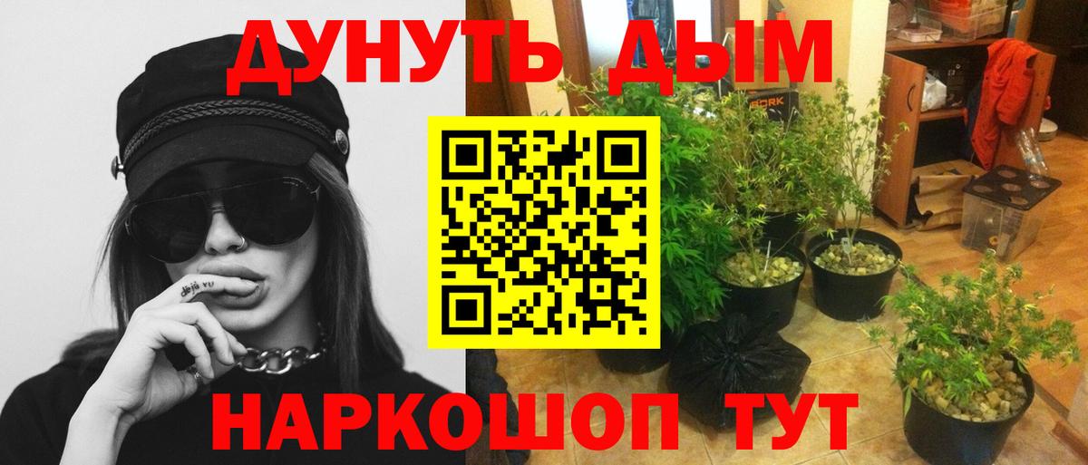 Бошки Шишки Ganja Саранск